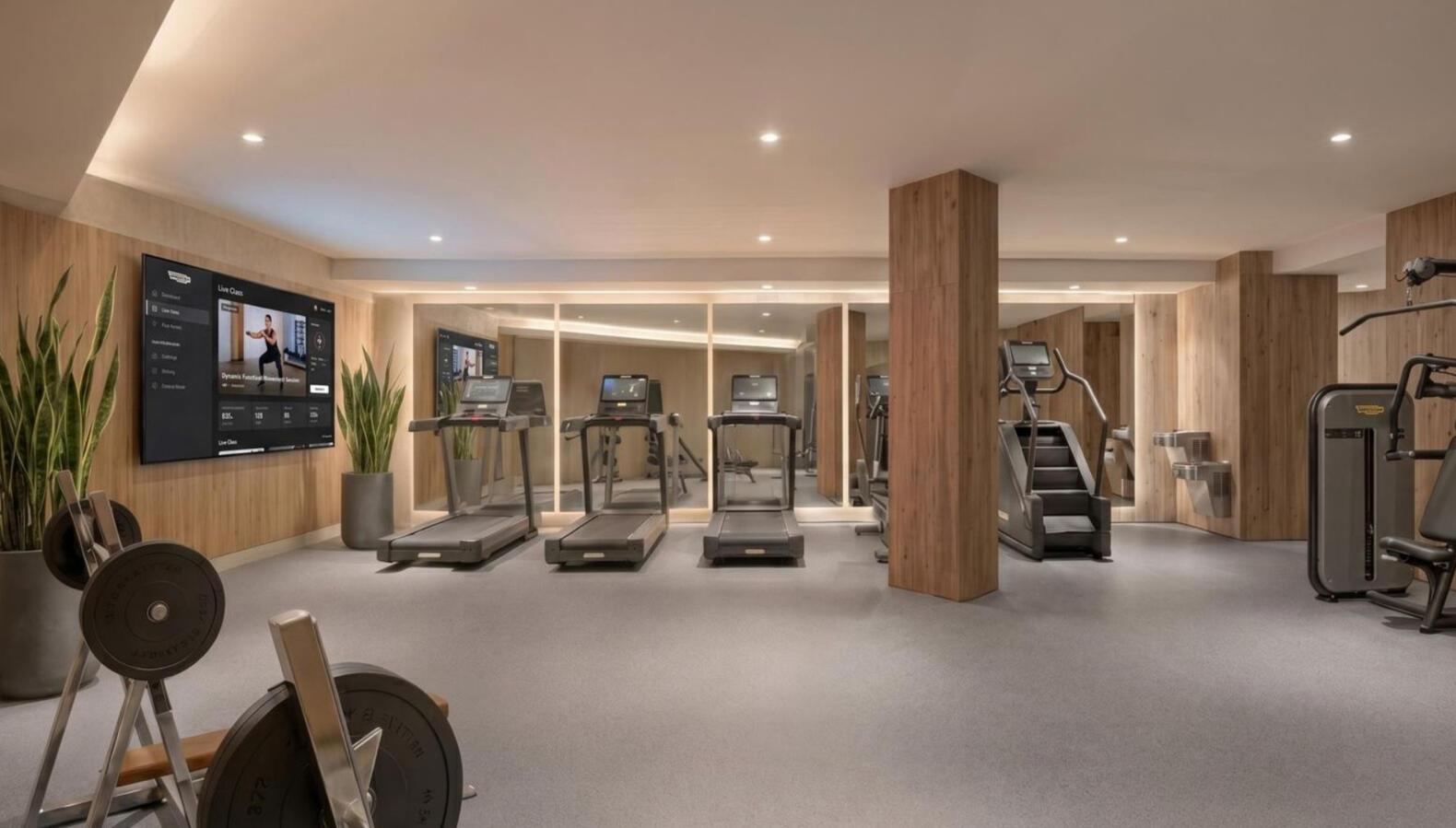 Gym Gym